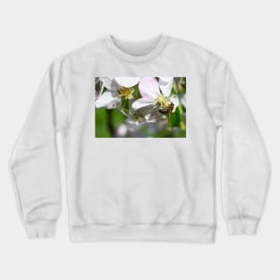 Honey bee on Flower Crewneck Sweatshirt